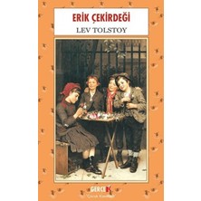 Gerçek Kitap Erik Çekirdeği