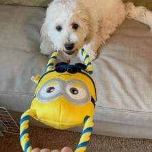Barkie İzmir Minion® Lisanslı Double Tug Köpek Çekiştirme Oyuncakları - Büyük 40 cm (Bob,stuart,kevin)