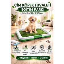 Happy Trend Park Köpek Tuvalet Eğitim Parkı, 31 x 45,5 Cm, Büyük Boy