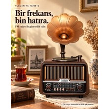 Dexxony YG-7020 Nostaljik Gramofon Bluetooth Hoparlör FM/AM/SW Radyo USB/TF Solar Panelli
