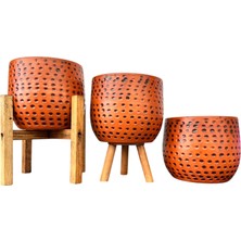 Bitki Tasarımı Siyah Nokta Desenli Terakota Saksı & Saksılık Dekoratif Salon Çiçekliği 3'lü Set 15 cm