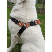 Balkonda Kişiye Özel Köpek Göğüs Tasması Ayarlanabilir Dev Irk Kolon Kordon Siyah
