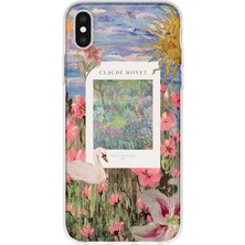 MONOFLEX iPhone X/xs Uyumlu Bahçe ve Flamingo Kolaj Desenli Şeffaf Telefon Kılıfı