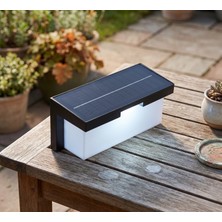 Pileli Store 1 Adet Cata Ct 7083 Barbaros 40W Dış Mekan Solar LED Aplik 3200K Gün Işığı