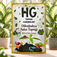 Hg Difenbahya Saksı Toprağı