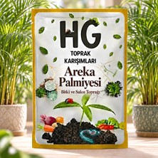 Hg Areka Palmiyesi Toprağı