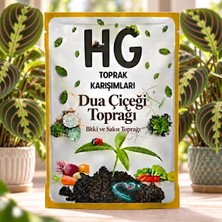 Hg Dua Çiçeği Saksı Toprağı
