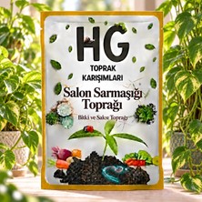 Hg Salon Sarmaşığı Toprağı
