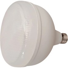 5m Kristal Torch LED Ampül 60W Z10118 9362
