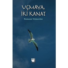 Somut Yayınları Uçmaya, Iki Kanat