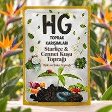 Hg Starliçe & Cennet Kuşu Toprağı