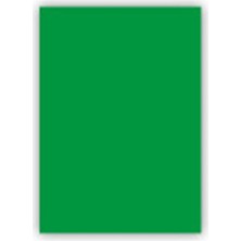Kağıtsan Yeşil 50'li 50X70 160 gr Fon Kartonu Proje Kağıdı Okul Hobi