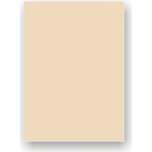 Kağıtsan Krem Fon KARTONU-50X70-50Lİ-160GR