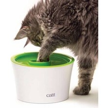 Store 2.0 Multi Feeder Çok Amaçlı Kedi Mama Kabı