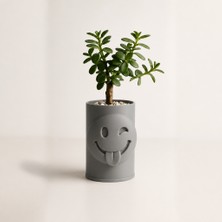 Store 3D Baskı Emoji Planter - Göz Kırpan Yüzlü Sukulent Saksısı-Gri