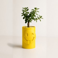 Store 3D Baskı Emoji Planter - Göz Kırpan Yüzlü Sukulent Saksısı-Sarı