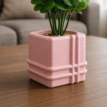 Store 3D Baskı Square Planter - Izgara Desenli Küp Saksı-Pembe