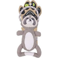 Store Eco Chewtopia Rakun Köpek Oyuncağı 35X19X8 cm