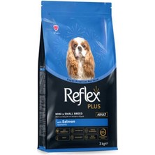 Store Mini Small Somonlu Küçük Irk Yetişkin Köpek Maması 3 kg