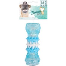 Store Termoplastik Kauçuk Dental Köpek Diş Kaşıma Oyuncağı Small 4X4X10 cm