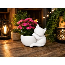 Store 3D Baskı Sarılan Kedi Saksı - Sevimli Dekoratif Saksı - Beyaz