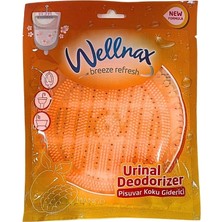 Store Pisuvar Koku Giderici Mango 50 gr