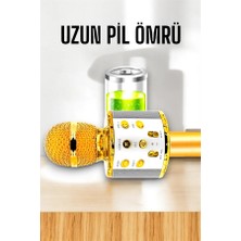 Store Kablosuz Bluetooth Karaoke Mikrofon USB ve Aux Girişli, Yüksek Ses Kalitesi