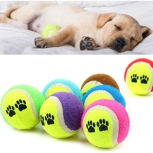 Store 3lü Renkli Desenli Tenis Topu Kedi Köpek Oyuncağı