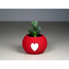 Store 3D Baskı Kalpli Mini Saksı - Kırmızı Beyaz Dekoratif Saksı