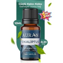 Orevio Okaliptus Esansiyel Uçucu Koku Yağı, Difüzör ve Buhurdanlık Esansı, Aromaterapi Yağı 10 ml
