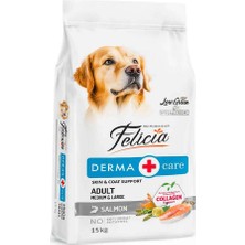 Store Somonlu Az Tahıllı 15 kg Yetişkin Köpek Maması Felicia