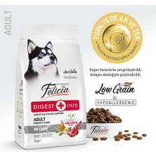 Store Kuzulu Az Tahıllı 15 kg Yetişkin Köpek Maması Felicia