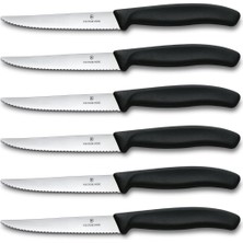 Store 6.7233.6 Mutfak 6'lı Steak-Biftek Bıçağı (Blisterli)