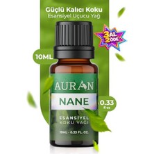 Orevio Nane Esansiyel Uçucu Koku Yağı Difüzör ve Buhurdanlık Esansı Aromaterapi Yağı 10 ml