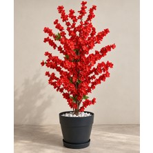 Erhan Flowers Kırmızı Bahar Dalı 150 cm Siyah Plastikt Saksıda