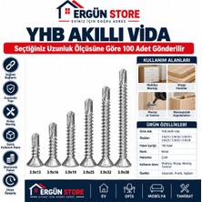 Ergün Store Akıllı Vida Seçtiğiniz Ölçü 100 Adet  3,9X13 - 3,9X16 - 3,9X19 - 3,9X25 - 3,9X32 - 3,9X38
