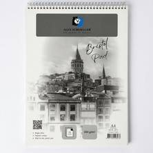 Alex Schoeller A4 20 Yaprak Spiralli Bristol Pad