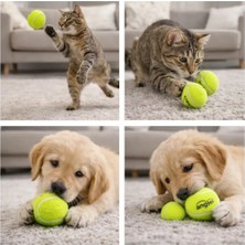 Mixoyuncak Kedi ve Köpek Oyuncağı – Dayanıklı Evcil Hayvan Topu