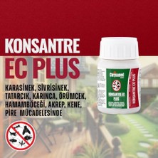 Orevio Konsantre Ec Plus 100 ml Sprey Konsantresi