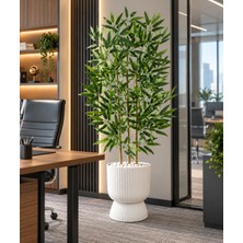 Erhan Flowers 150 cm 3 Dallı Bambu Ağacı Lotus Saksıda