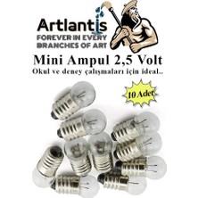 Orevio Mini Ampul 2,5 V 10 Adet 1 Paket Küçük Elektrik Deney Ampulü 2.5 V Okul Sınıf Elektrik Devre Deney Ampulü
