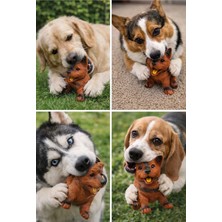 Mixoyuncak Vinil Köpek Oyuncağı – Sesli Eğlenceli Köpek Oyuncağı