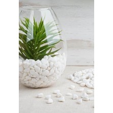 Orevio Dolomit, 1 kg
