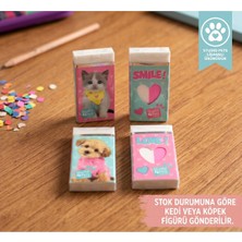 Bakgelal Studio Pets Lisanslı Silgi Kedi Köpek Desenli Çocuk Okul Kırtasiye Silgisi