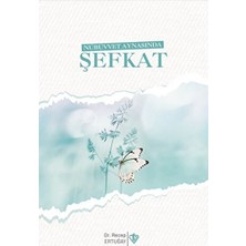 Türkiye Diyanet Vakfı Yayınları Nübüvvet Aynasında Şefkat