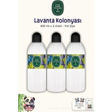 Orevio Lavanta Kolonyası 3 Adet Silindir Pet Şişe 400 ml ve Rosıe Pamuk