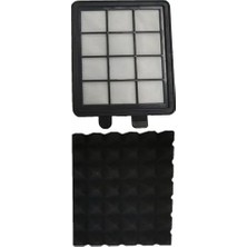 ile Uyumlu Ar 4077 Focus Pro Cyclone Uyumlu Süpürge Filtresi (Süngerli)