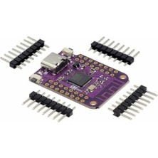 Orevio ESP32-S2 Mini Wifi Geliştirme Kartı, Type-C