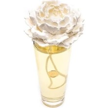 Prime Missi 400 ml Konik Cam Şişe Ekru Seramik Taşlı Oud Vanilya Oda Kokusu