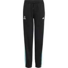 Prime Mercedes - Amg Petronas Formula 1 Team Dna Pant